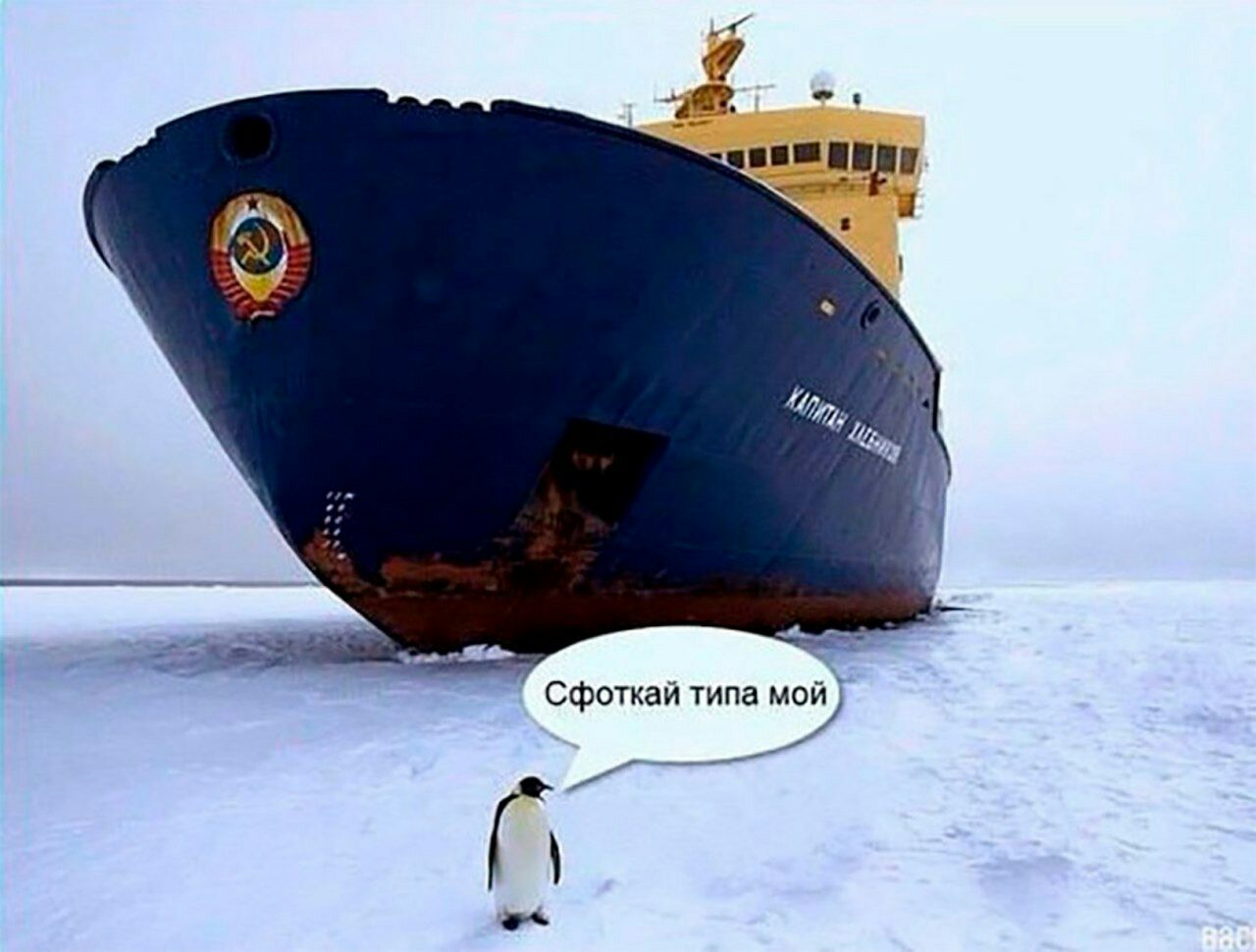 к Я King Сфоткай типа мой]