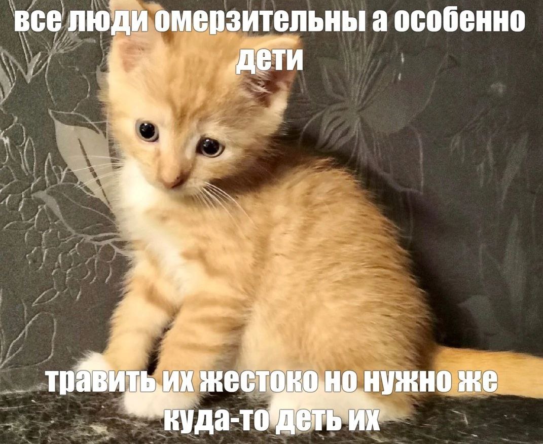 все люди омерзительны а особенно 4 нужно же