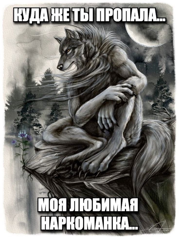 2. КУДА ЖЕТЫ ПРОПАЛА. 4, МОЯ ЛЮБИМАЯ 3: HAPKOMAHKA...