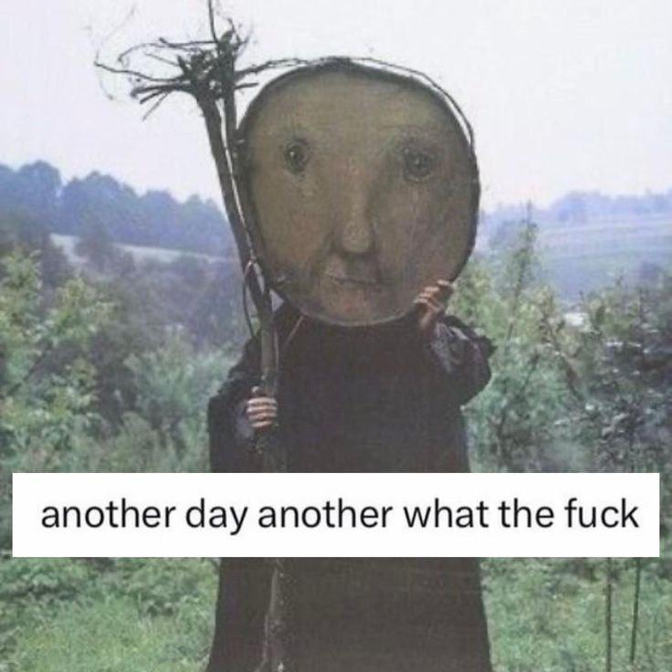another day another what the fuck