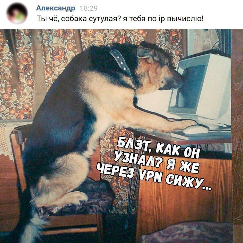 Александр 18:29 Ты чё, собака сутулая? я тебя No вычислю! 2 КАК on А ЖЕ РЕЗ VPN Ижу tee