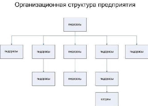 Организационная структура предприятия