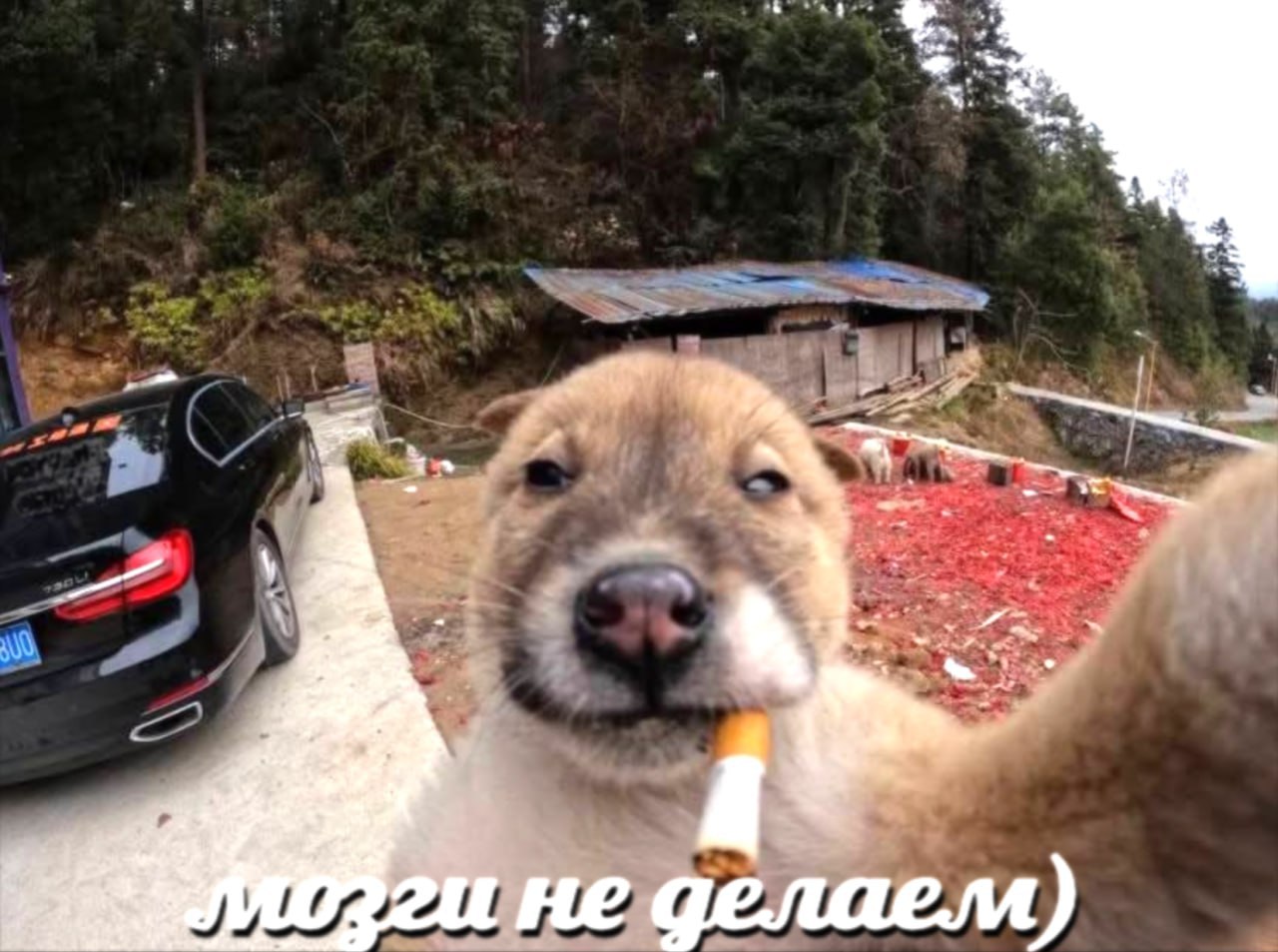 few не делаели)