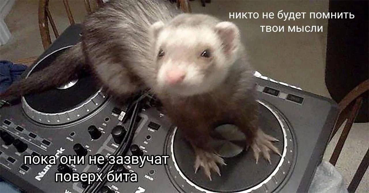 никто не будет помнить твои мысли пока они не зазвучат поверх бита