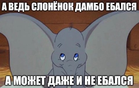 А ВЕДЬ СЛОНЕНОК ДАМБО ЕБАЛСЯ А МОЖЕТ ДАЖЕИ НЕЕБАЛСЯ