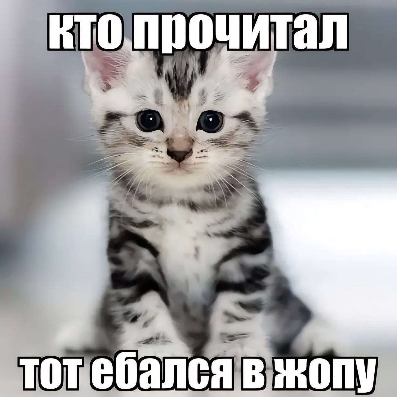 кто прочитал тот ебался в жопу