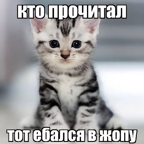 кто прочитал тот ебался в жопу