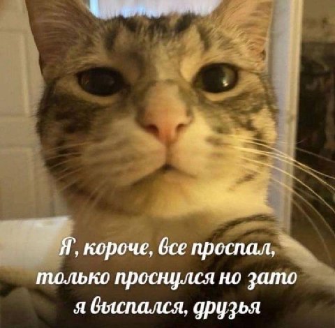 A, короче, bce проспал, только проснулся но зато я быспался, друзья