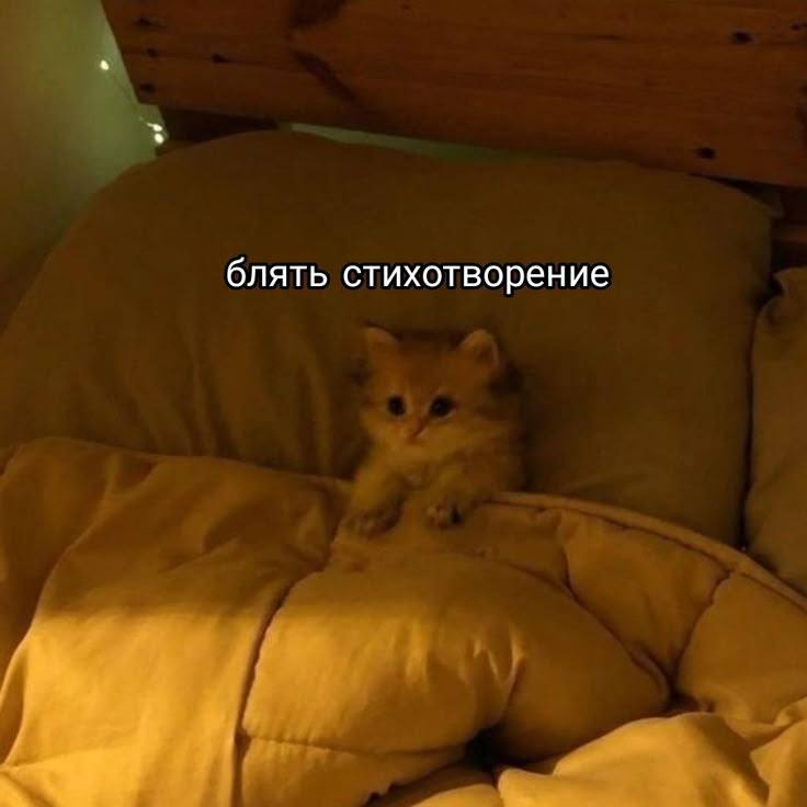 блять стихотворение