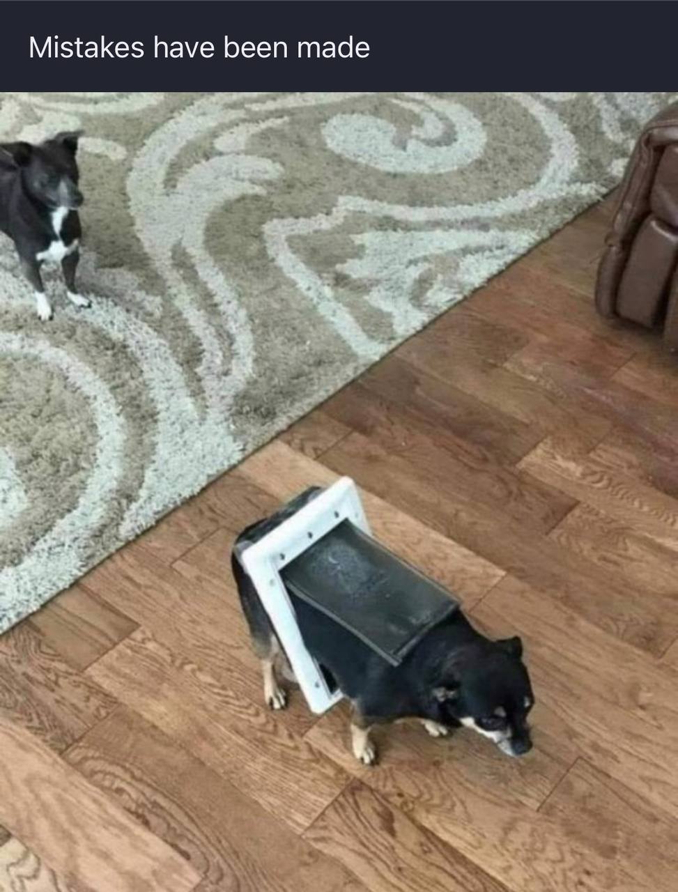 Mistakes have been made