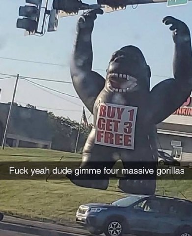 a Fuck yeah dude gimme four massive gorillas