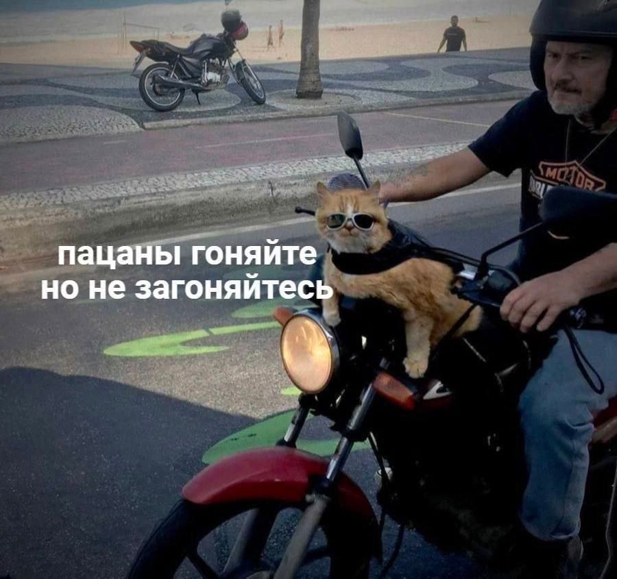 пацаны гоняйте но не загоняйтесь