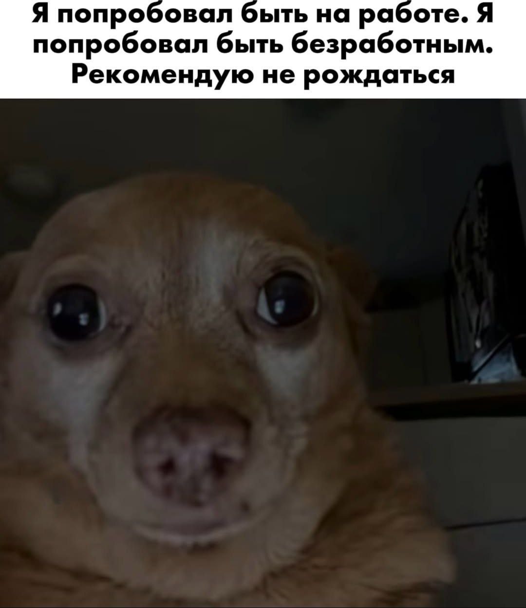 Я попробовал быть на работе. Я попробовал быть безработным. Рекомендую не рождаться
