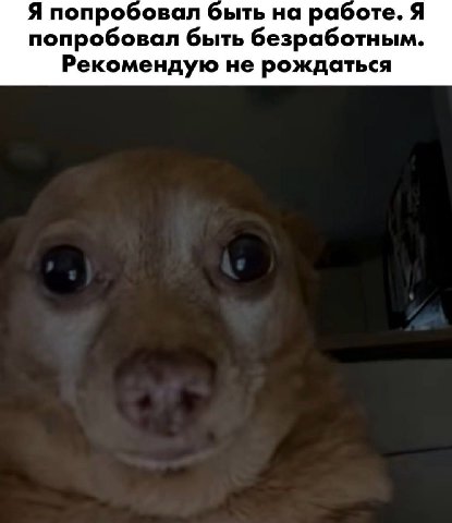 Я попробовал быть на работе. Я попробовал быть безработным. Рекомендую не рождаться