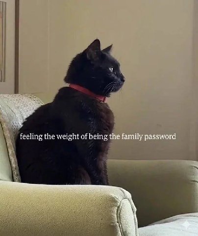feeling the weight of being the family password