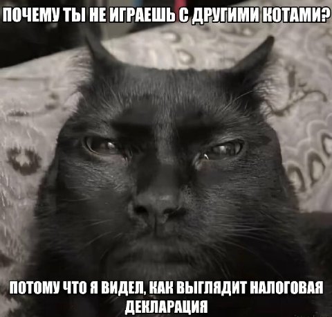 ПОЧЕМУ ТЫ! НЕ ИГРАЕШЬ С ДРУГИМИ КОТАМИ? ПОТОМУЧТО Я ВИДЕЛ, КАК ВЫГЛЯДИТ НАЛОГОВАЯ ДЕНЛАРАЦИЯ