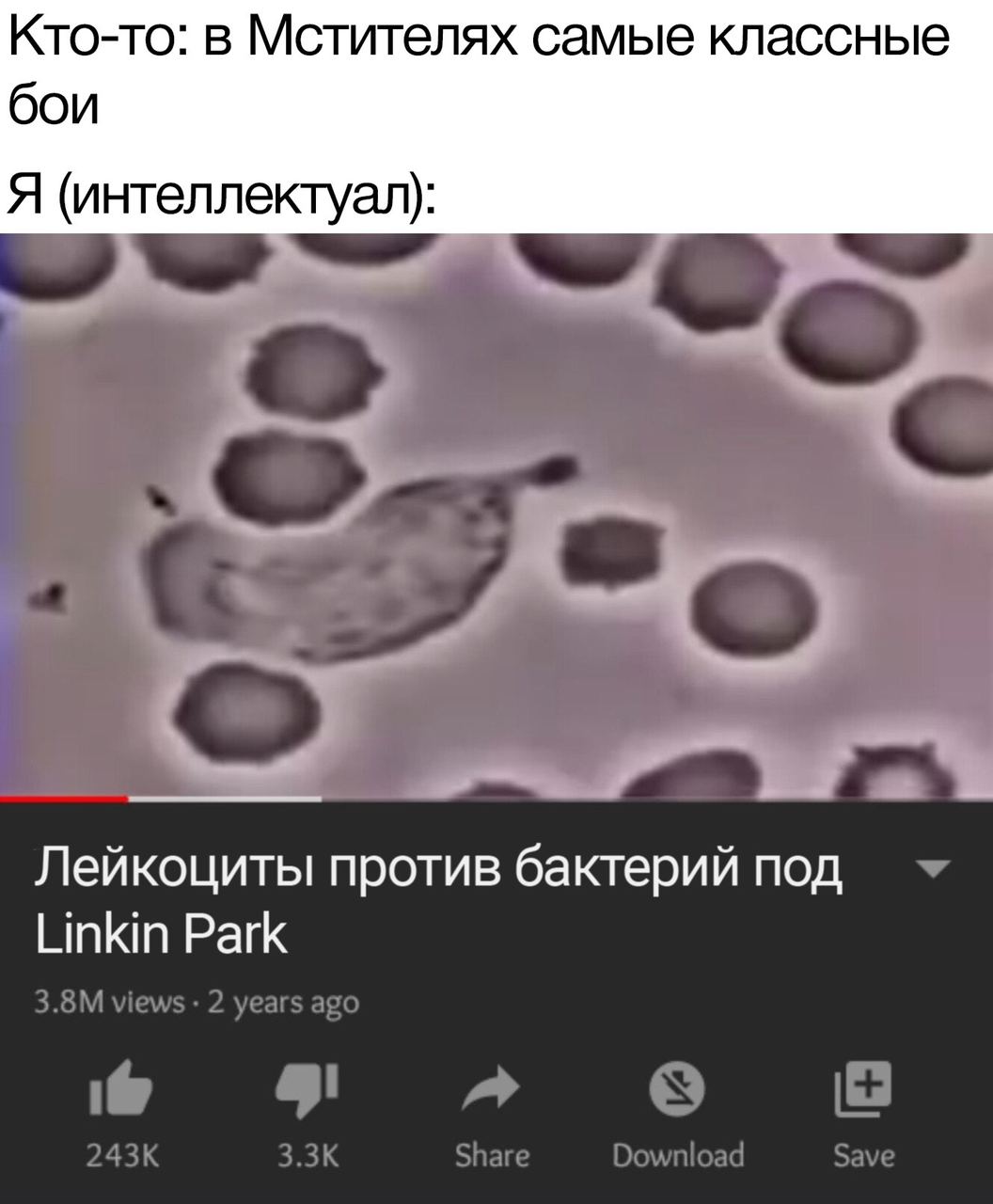 Кто-то: в Мстителях самые классные бои Я (интеллектуал): Лейкоциты против бактерий под Linkin Park