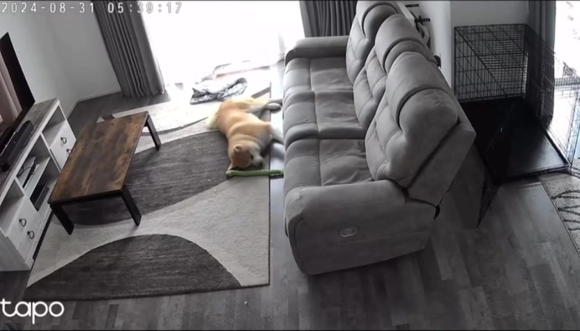 05: