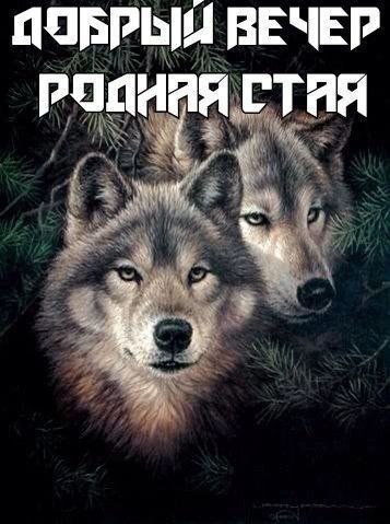 ВЕЧЕР тая