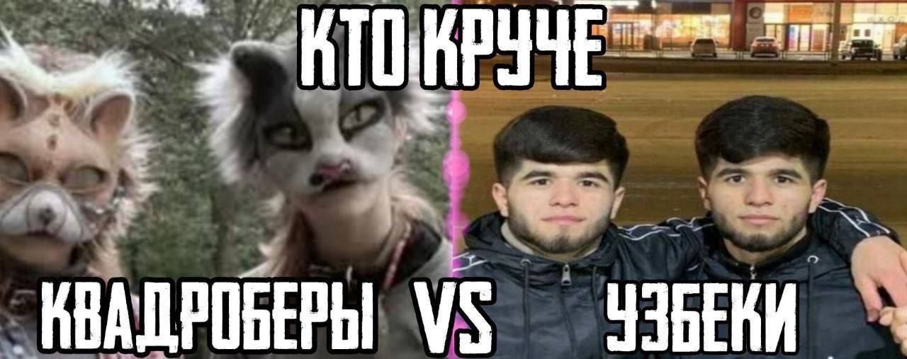 КВАДРОБЕРЫ