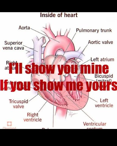 Inside of heart Aorta Pulmonary trunk Superior Aortic valve vena on atrium ine Bicuspid Tricuspid Left valve ventricle Right ventricle Ventricular