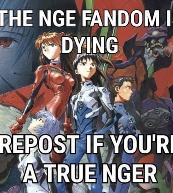 ГНЕ МбЕ FANDOM REZOST I YOUR TRUE NGER