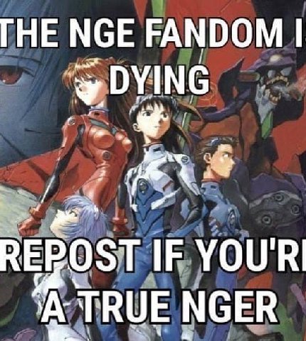 ГНЕ МбЕ FANDOM REZOST I YOUR TRUE NGER