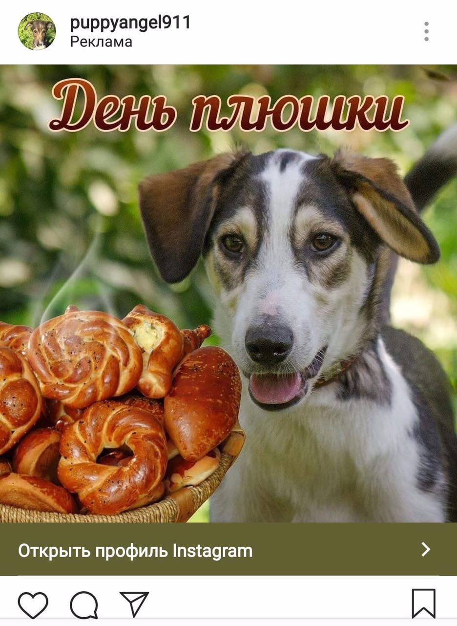 Реклама Открыть профиль Instagram