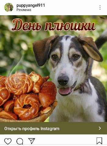 Реклама Открыть профиль Instagram