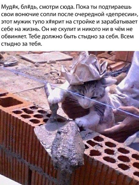 Муд#к, бл#дь, смотри сюда. Пока ты подтираешь свои вонючие сопли после очередной «депресии», этот мужик тупо х#ярит на стройке и зарабатывает себе на жизнь. Он не скулит и никого ни в чём не обвиняет.