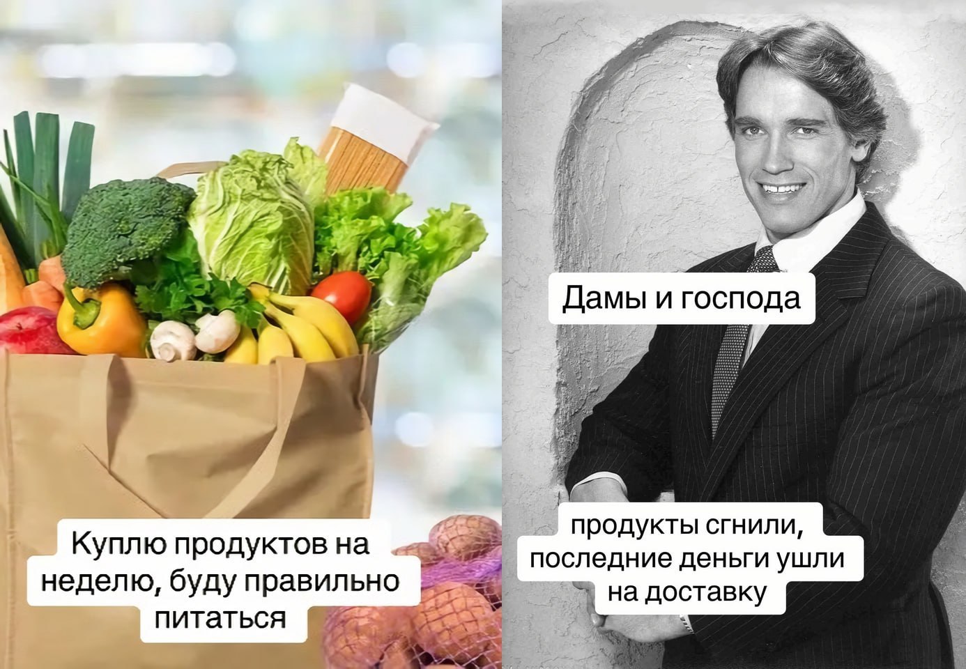 Дамы и господа продукты сгнили, Куплю продуктов последние деньги ушли неделю, буду правильно 2: 3 питаться