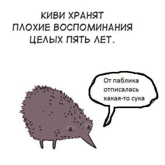 КИВИ ХРАНЯТ ПЛОХИЕ ВОСПОМИНАНИЯ ЦЕЛЫХ ПЯТЬ ЛЕТ. От паблика отписалась какая-то сука