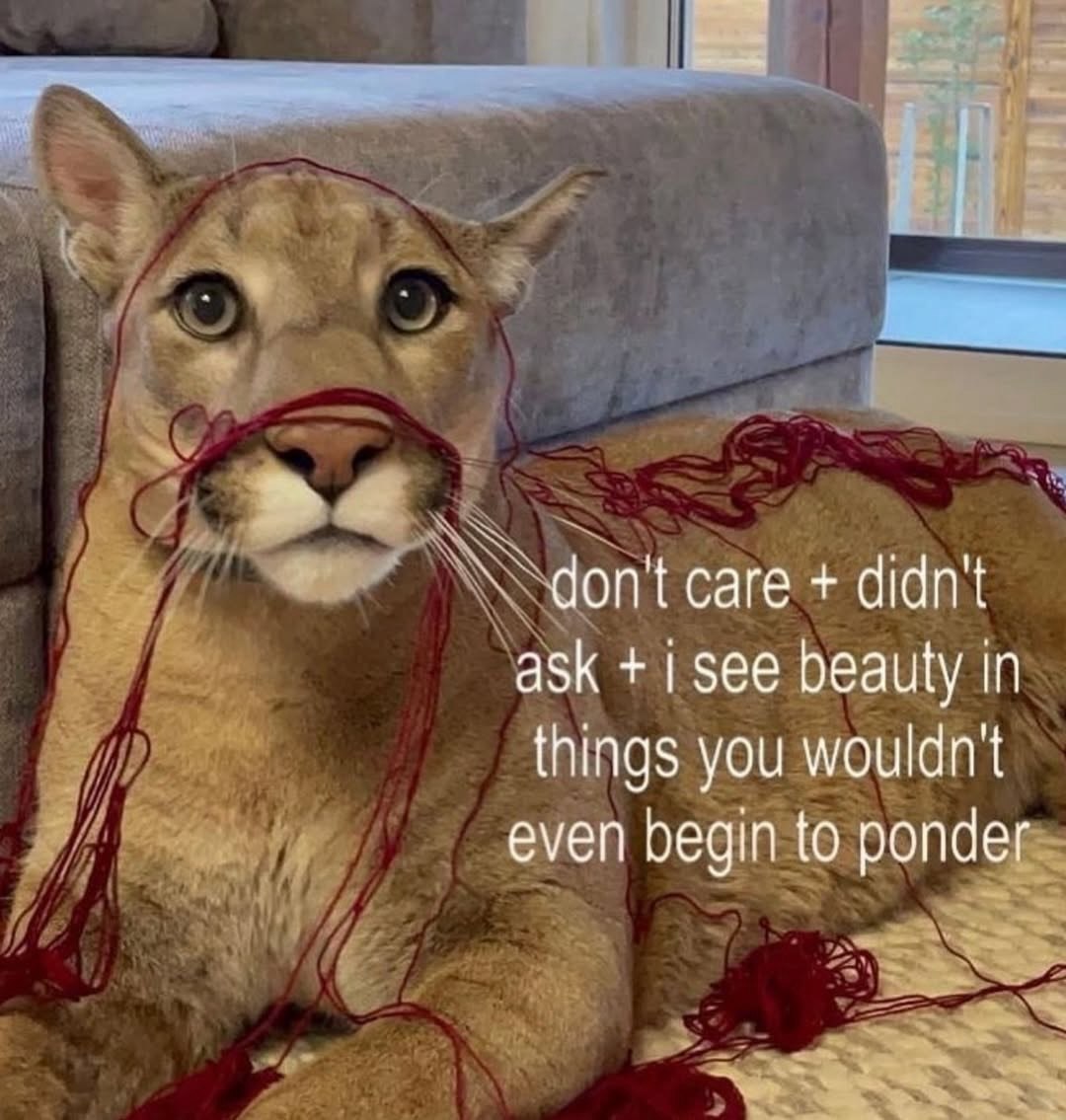 dont саге didn't ask 1 See beauty in things you wouldn't even begin to ponder
