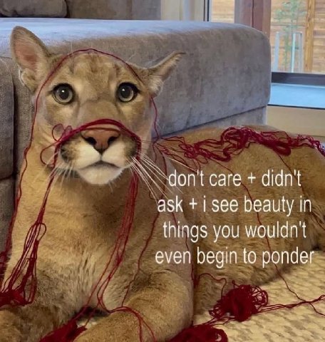 dont саге didn't ask 1 See beauty in things you wouldn't even begin to ponder