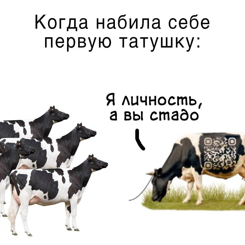 Когда набила себе первую татушку: Я личность, а вы стадо