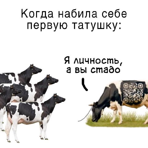 Когда набила себе первую татушку: Я личность, а вы стадо
