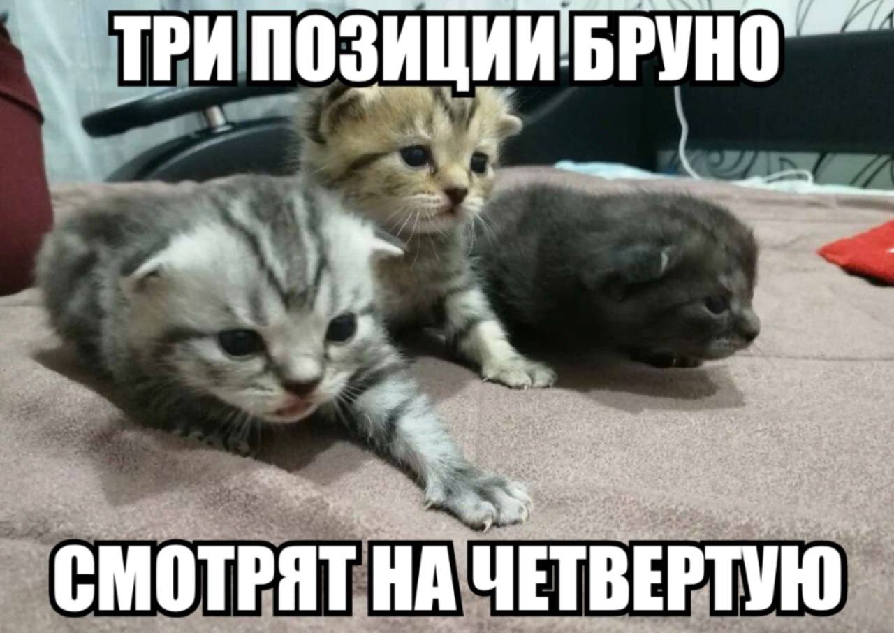 СМОТРЯТ ЧЕТВЕРТУЮ