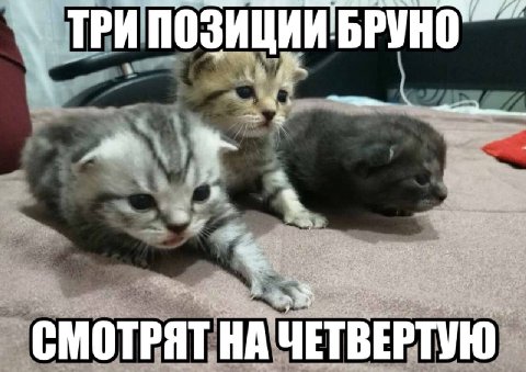 СМОТРЯТ ЧЕТВЕРТУЮ