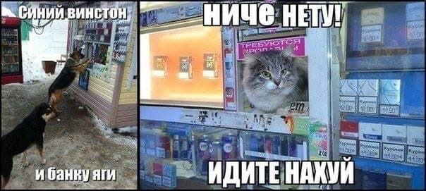 ИНСТ ниче 1 Poe fit Sty ave 3 и банку яги ИДИТЕ