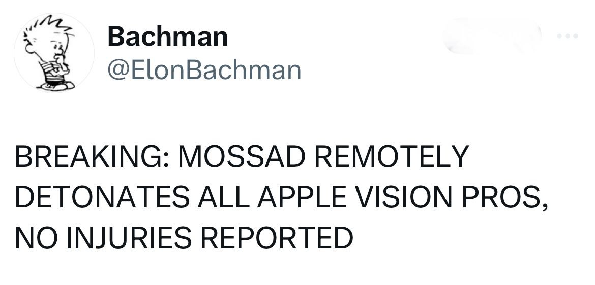 Bachman @ElonBachman BREAKING: MOSSAD REMOTELY DETONATES ALL APPLE VISION PROS, NO INJURIES REPORTED