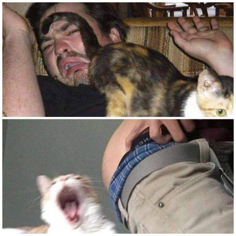 я A a