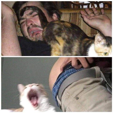 я A a