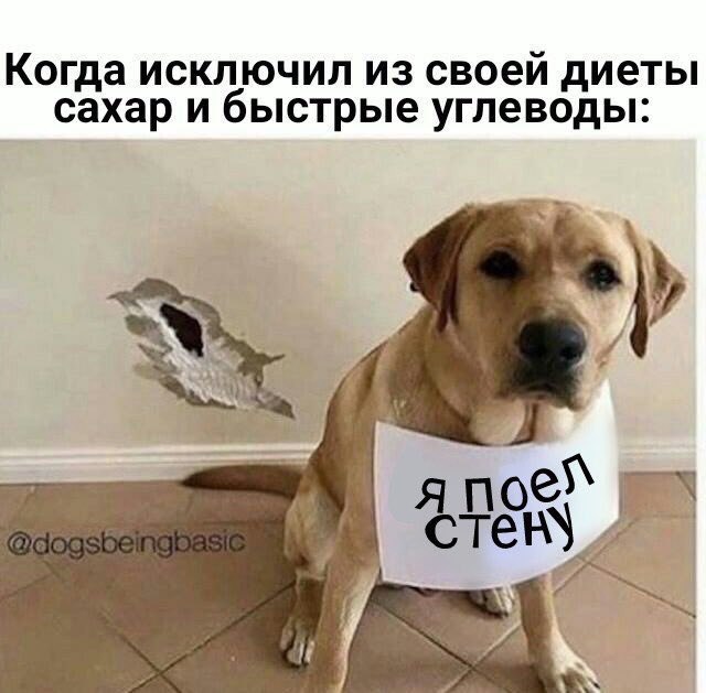Когда исключил из своей диеты сахар и быстрые углеводы: стек