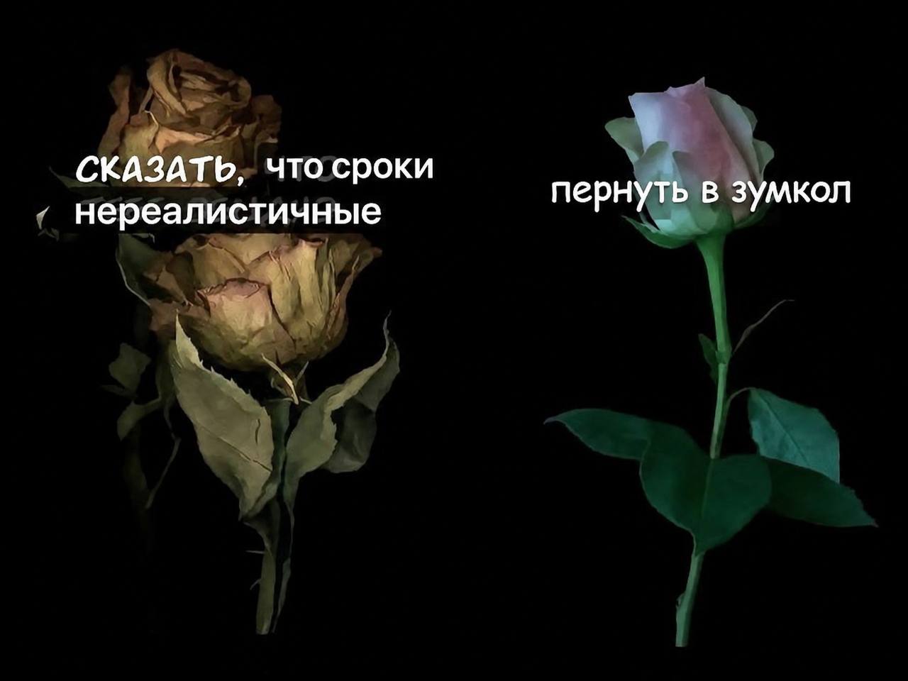 СКАЗАТЬ, что сроки нереалистичные пернуть в зумкол