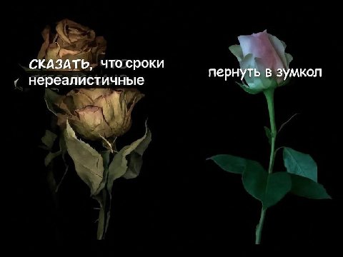 СКАЗАТЬ, что сроки нереалистичные пернуть в зумкол