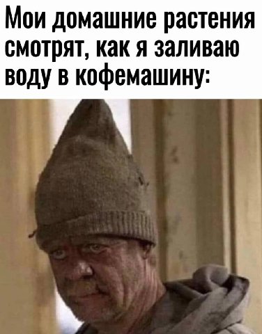 Мои домашние растения смотрят, как я заливаю воду в кофемашину: