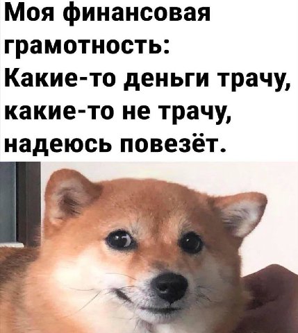 Моя финансовая грамотность: Какие-то деньги трачу, какие-то не трачу, надеюсь
