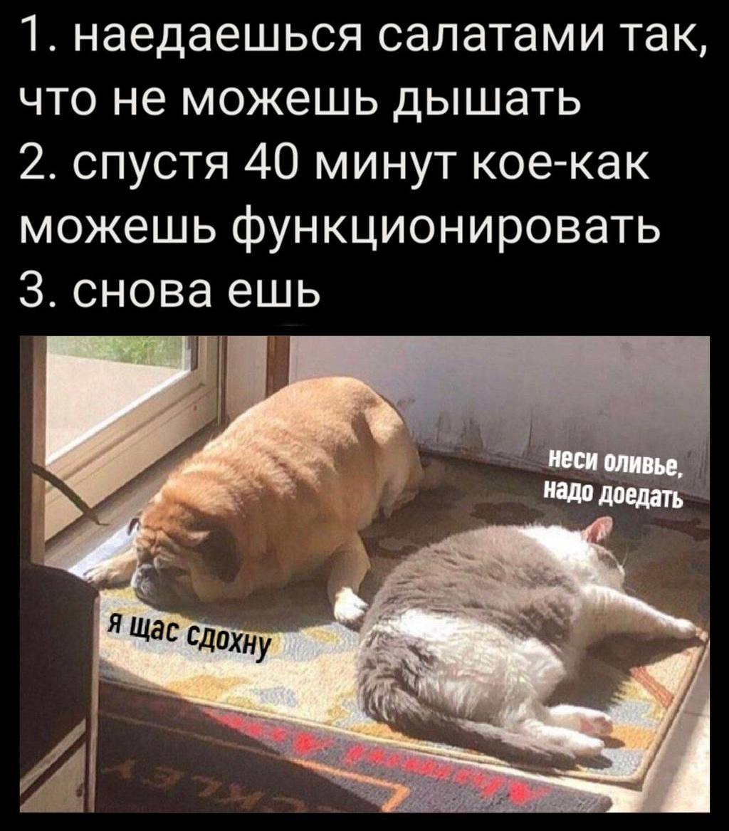 1. наедаешься салатами так, что не можешь дышать 2. спустя 40 минут кое-как можешь функционировать 3. снова ешь неси оливье, надо доедать я Щас