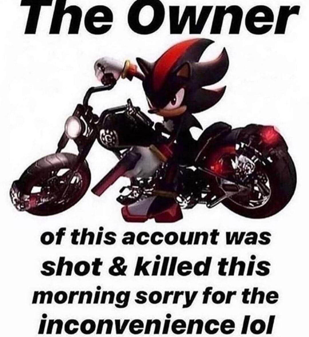 Owner of this account was shot killed this morning sorry for the inconvenience lol