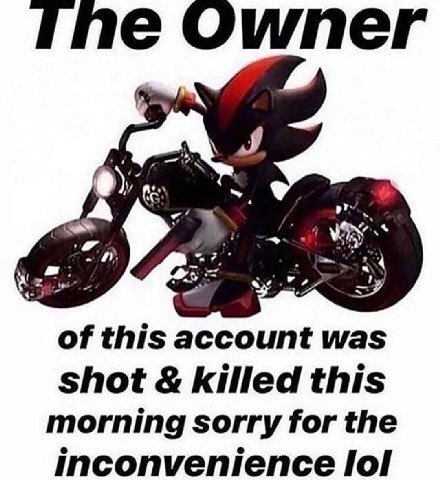 Owner of this account was shot killed this morning sorry for the inconvenience lol